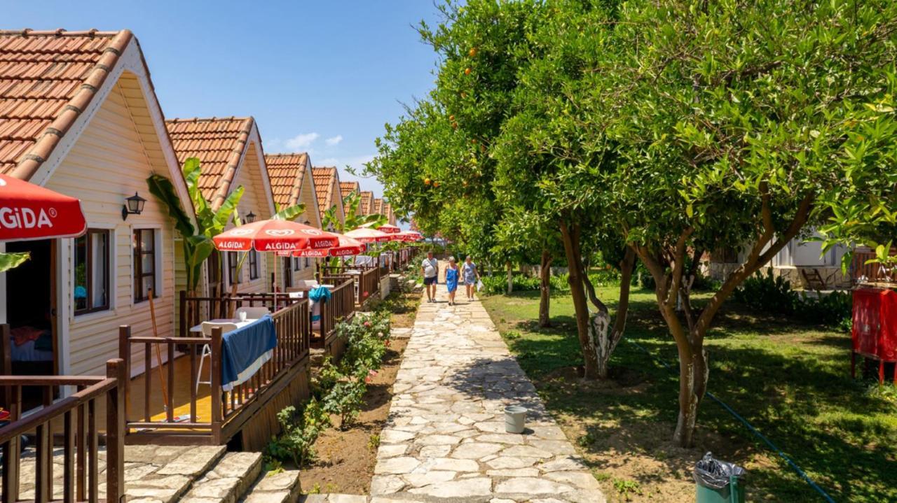 Clover Magic Nova Beach Hotel Side Bagian luar foto