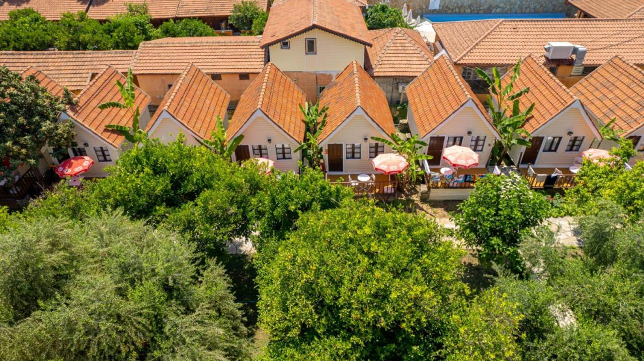Clover Magic Nova Beach Hotel Side Bagian luar foto